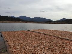 -楠溪江风景名胜区