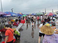 -硇洲岛旅游区