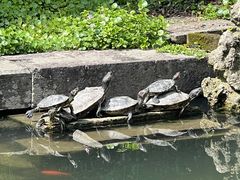 -宁波市保国寺古建筑博物馆