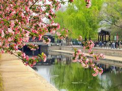 -元大都城垣遗址公园