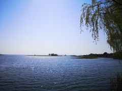-太湖湖滨国家湿地公园-停车场