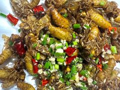-凤嫂农家乐(梁弄店)