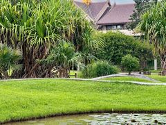 -中国科学院西双版纳热带植物园