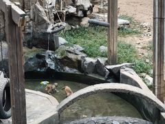 -太子山公园(园东路)