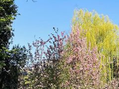 -洛阳市隋唐城遗址植物园
