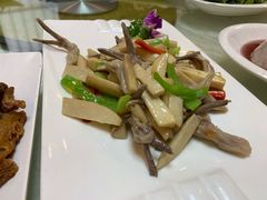 -丁老爷子苏香圆