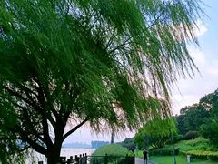 -云龙湖旅游景区