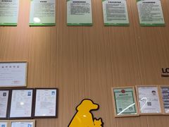 -半岛宠物医院24小时·内窥镜·牙科·碎石中心(府城大道店)