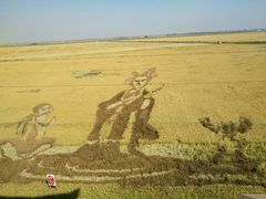 -红海滩国家风景廊道