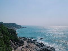 -广东惠东海龟国家级自然保护区
