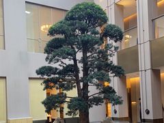 -外滩·云南人家(昆明旗舰店)