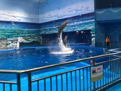 -多彩贵州城极地海洋世界