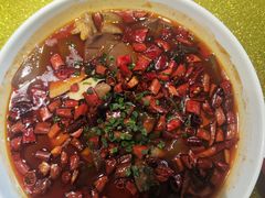 -大鸭梨(天通西苑店)