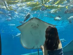 -福州罗源湾海洋世界旅游区