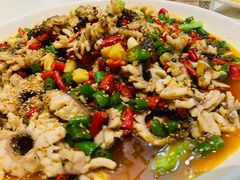 黑鱼花-三猫黑鱼花(南大店)