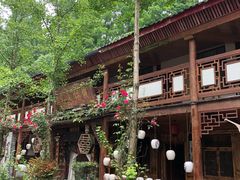 -青城甲(青城山店)