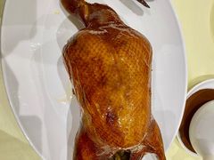 -兴悦酒家(环市东路店)