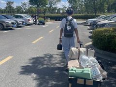 -春花秋色城市公园