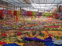 -吉祥圣雪藏餐