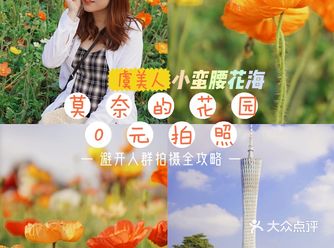 广州0元拍大片二沙岛春日油画质感花海