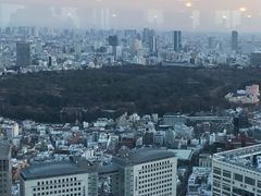 -东京都厅舍