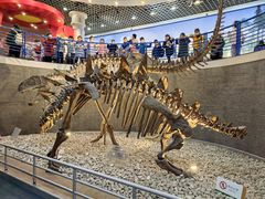 -国家自然博物馆