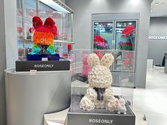 -ROSEONLY诺誓(广州K11店)