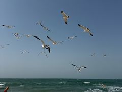 -那香海钻石沙滩浴场