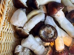 -金鼎雪山牦牛杂火锅(理县总店)