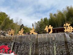 -宁波浙东大竹海景区