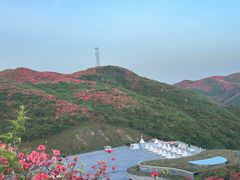 -大围山国家森林公园