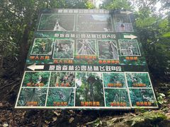 -西双版纳原始森林公园