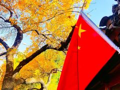 -内蒙联营烧麦 草原石榴红(护国寺店)