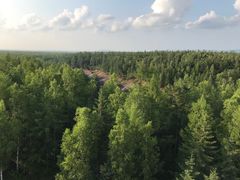 -峡谷浮石林景区