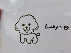 -暖阳宠物医院·犬猫康复中心·骨科