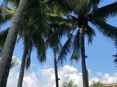 -三亚亚龙湾天域度假酒店