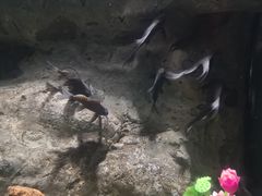 -苏州海洋馆
