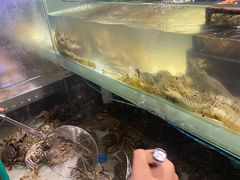 -喜庭海鲜自助(来福士店)