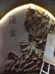 -源素美容养生会所