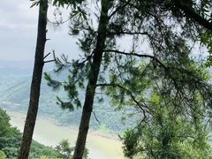 -铁山坪森林公园