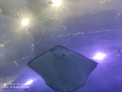 -成都浩海立方海洋公园