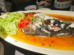 -凤凰湘语(浦东旗舰店)