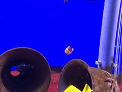 -海合安武汉极地海洋公园