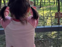 -合肥野生动物园