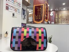 -东日国际动物医院·CT·心脏专科(桃源分院)