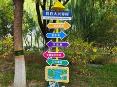 -大兴滨河森林公园