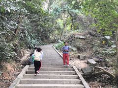 -火炉山森林公园