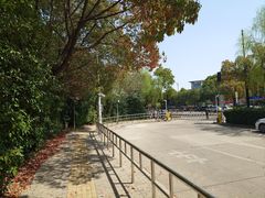 -上海中医药大学附属曙光医院(东部)