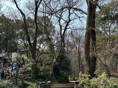 -惠山国家森林公园