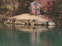 -靖西鹅泉风景区